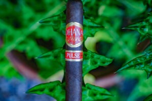 Ohana Pulse cigar
