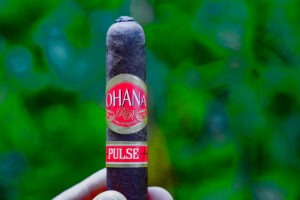 Ohana cigar Pulse