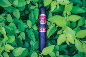 Ohana Cigars